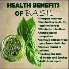 These products are available in distinct packaging to custom fit into your requirements. Lemon Basil Health Mj S Healthwise Organic Garden Facebook