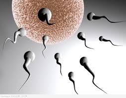 وضعيات تساعد ع الحمل اوضاع لحدوث الحمل اروع روعه