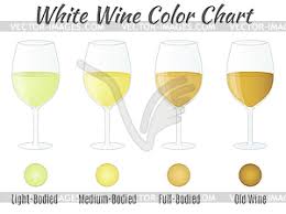 white wine color chart wine glasses concept vector image