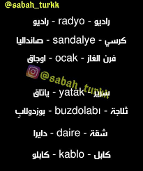 تحميل كتاب تعلم اللغة التركية Learn Turkish Learning