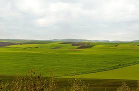 The pricing is very hard to pinpoint unless you know exactly where you want to search. How Big Is 100 Acres Of Land With Helpful Visual Comparisons Outdoor Troop