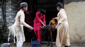 Jul 27, 2020 · with eid holidays coming up you can visit some of these places to explore the heritage of the country. Eid Al Adha Celebrated In Bengal Amid Covid 19 Pandemic Kolkata Hindustan Times