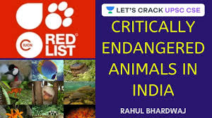 Critically Endangered Animals In India Crack Upsc Cse 2020 2021 Rahul Bhardwaj Youtube