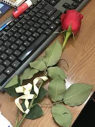 Roses Fromsalesman Businesslife Cute Couple Pictures Flowers Photography Tumblr Photography