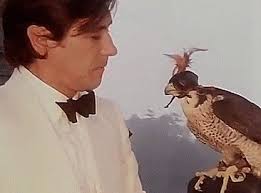 @mbayes74's video Tweet