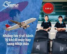 Hình ảnh về Lao động An Giang chuẩn bị hành lý lên đường xuất khẩu lao động – Hình ảnh tại sân bay