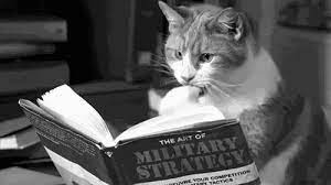 Black And White Cat Funny Gif Favim Com 373515 Large Gif 500 281 Cat Reading Best Cat Gifs Cats And Kittens