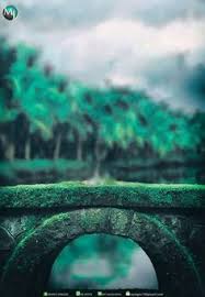 Terdapat 2591 penyuplai background alam, sebagian besar berlokasi di asia. 7 Altaf Alam Ideas Blur Background Photography Blurred Background Photography Photo Background Editor