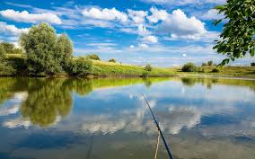Packed in a single zip file. Best 64 Fishing Backgrounds On Hipwallpaper Outdoor Fishing Wallpaper Peaceful Fishing Wallpaper And Sport Fishing Wallpaper