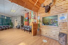 Pediatric dentists specialize in the oral health care of children, while family dentists specialize in oral health best pediatric dentist near me. Pediatric Dentist In Gold River Ca Children S Dental Office In Gold River Ca Gold River Ca Children S Dentist