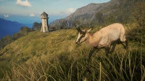 Maybe you would like to learn more about one of these? Explore New Zealand With Thehunter Call Of The Wild Te Awaroa National Park Dlc Thexboxhub
