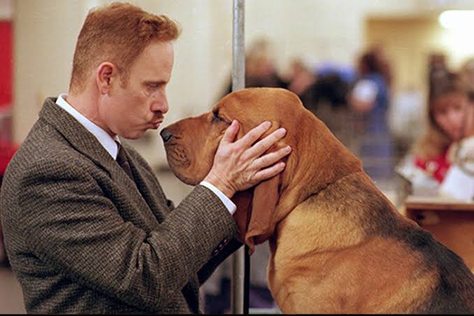 Bloodhound Breeder's Dogs Are Still 'Best in Show' 25 Years Later