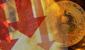 Bill gates is 'betting on the total collapse' of bitcoin, according to analysts, as the cryptocurrency plunged 15 percent over the weekend. Bitcoin Crash How Tulip Mania Could Spark Epic Crypto Collapse City Business Finance Express Co Uk