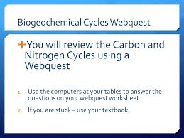 Read biogeochemical cycles webquest answers key pdf on our digital library. Unit 3 The Living World Miller Chapters 3 4 18th Ed Ppt Video Online Download
