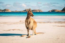 Штате queensland (brisbain, gold coast, cairns). Thinking Of Moving To Queensland Five Reasons You Should Go For It