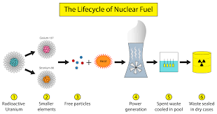 Their half lives are very short and an isotope of a compound that is radioactive so it can be found with a geiger counter and is used in farming (to see how well fertilizers are taken up). Looking For A Trash Can Nuclear Waste Management In The United States Science In The News