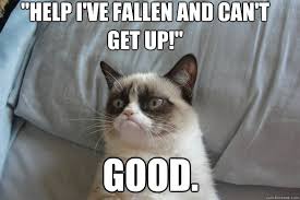 I Ve Fallen And I Can T Get Up Meme Good Help I Ve Fallen And Can T Get Up Grumpy Cat Humor Grumpy Cat Quotes Funny Quotes