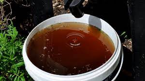 How to make compost tea for vegetable garden. How To Make Compost Tea Simple Compost Tea Recipe For Plants And Vegetables