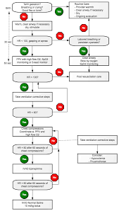 58 All Inclusive Emt Patient Assessment Flow Chart