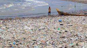 Tempat sampah tidak hanya sekadar wadah untuk membuang sampah, tetapi juga bisa menambah estetika interior rumah jadi lebih indah. Miris Kali Dan Pantai Di Banten Hingga Indramayu Tercemar Sampah