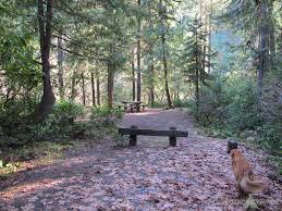 5 reviews, 0 photos, & 1 tips from fellow rvers. Whispering Falls Campground Detroit Ranger District Santiam Oregon