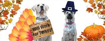 It's up to the host to set the tone for their guests when it comes to interacting with the family's pets. Dog Thanksgiving Dinner Treats Outfits