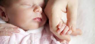 Entwicklungskalender 1 Monat Baby Und Familie