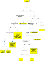 The eschar forms within a few days (median 5 days) after the bite, and may take several weeks to heal completely. The Rash That Leads To Eschar Formation Sciencedirect