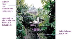 Une haie d'arbustes persistants aura donc l'avantage d'être verte tout au long de l'année et ne perdra pas ses feuilles, ce qui vous évitera aussi. Amenager Son Balcon Ou Sa Terrasse Pour Les Oiseaux Oiseaux Et Papillons Au Jardin