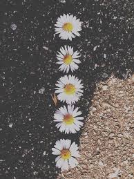 Love Photography Hair Couple Black And White Tumblr Fashion Food Artsy Photos Tumblr Photography Tumblr Wallpaper