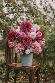 Plant Flower Blossom Pink And Red Pink And Red Carnation Flower On Gray Steal Pot Carnation Flower Beautiful Flower Arrangements Pretty Flowers