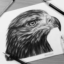 Kirsty Partridge Kirstysart Instagram Photos And Videos Eagle Drawing Feather Drawing Realistic Drawings