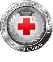 30 Most Affordable Online Nurse Educator Programs 2016