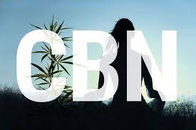 Throughout, the fascinating life span of cannabis growth and. What Is Cbn And What Are Its Effects Rqs Blog