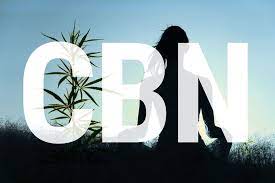 We've rescued 45k+ christians, but every 2 hours a believer is martyred in jesus' name. What Is Cbn And What Are Its Effects Rqs Blog