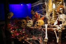 Haunted Trail & Hayride