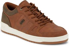 Image result for Sutera levis