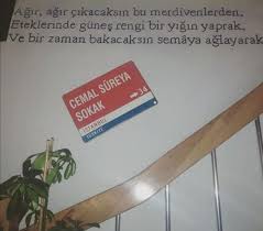 Pin By Ice Lord On Cemal Sureya In 2020