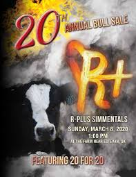 Do you start your game thinking that you're going to get the victory this time but you get sent back to the lobby as soon as you land? R Plus Simmentals 20th Annual Bull Sale By Today S Publishing Inc Issuu