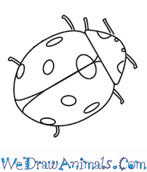 We'll just draw the right sign. How To Draw A Ladybug