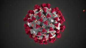 The variant had been detected in 81 percent of coronavirus samples. Virus Outpaces Vaccines A Sobering Milestone A New Variant What To Know About Covid 19 This Week Cnn