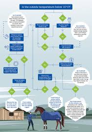 When To Use Horse Rugs Petplan Equine