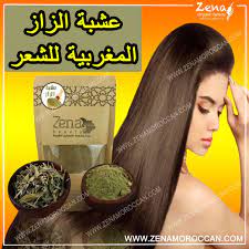 عشبة الزاز المغربية للشعر herbs for hair hair herbs