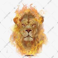 Elementos De Ilustracao De Combustao De Leao De Chama Clipart Rei Leao Feroz Pintado A Mao Imagem Png E Psd Para Download Gratuito Ilustracao De Leao Imagens De Leao Logotipo De