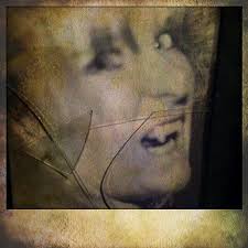 Amazon.com: Stacey Leigh Brooks: books, biography, latest update