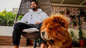 Kl rahul and his dog ❤. Kl Rahul Says He Always Wanted To Be The Best Version Of Himself Firstsportz