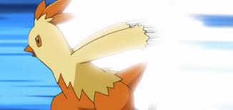 Pokeflix Battle Frontier Three Jynx And A Baby