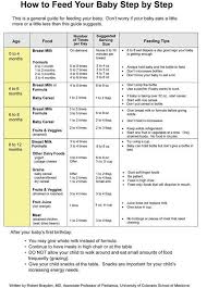 How To Feed Your Baby Step By Step Great Guide For First