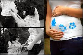 Pin On Pregnancy