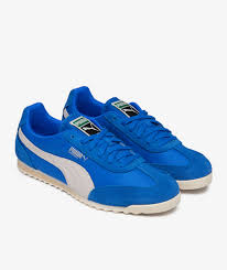 Image result for Amparo Blue 2001 Puma